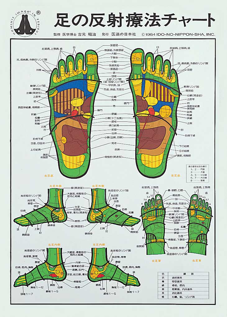 A5：DVDで学ぶ足つぼ（足部反射療法2級上編）+テキスト+チャートset  
